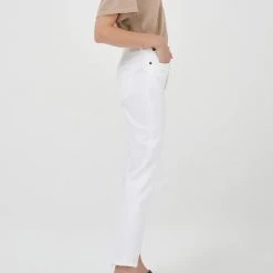 Agolde Riley Crop In Whip Denim