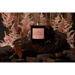 Boy Smells Ash Candle