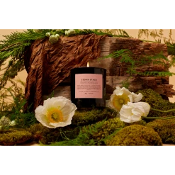 Boy Smells Cedar Stack Candle HOME & GIFTS 7 Boy Smells Cedar Stack Candle HOME & GIFTS