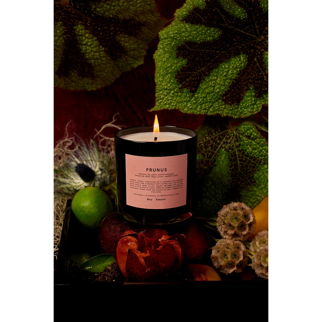 Boy Smells Prunus Candle 5 Boy Smells Prunus Candle
