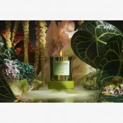 Boy Smells Agua De Jardin HOME & GIFTS 8 Boy Smells Agua De Jardin HOME & GIFTS