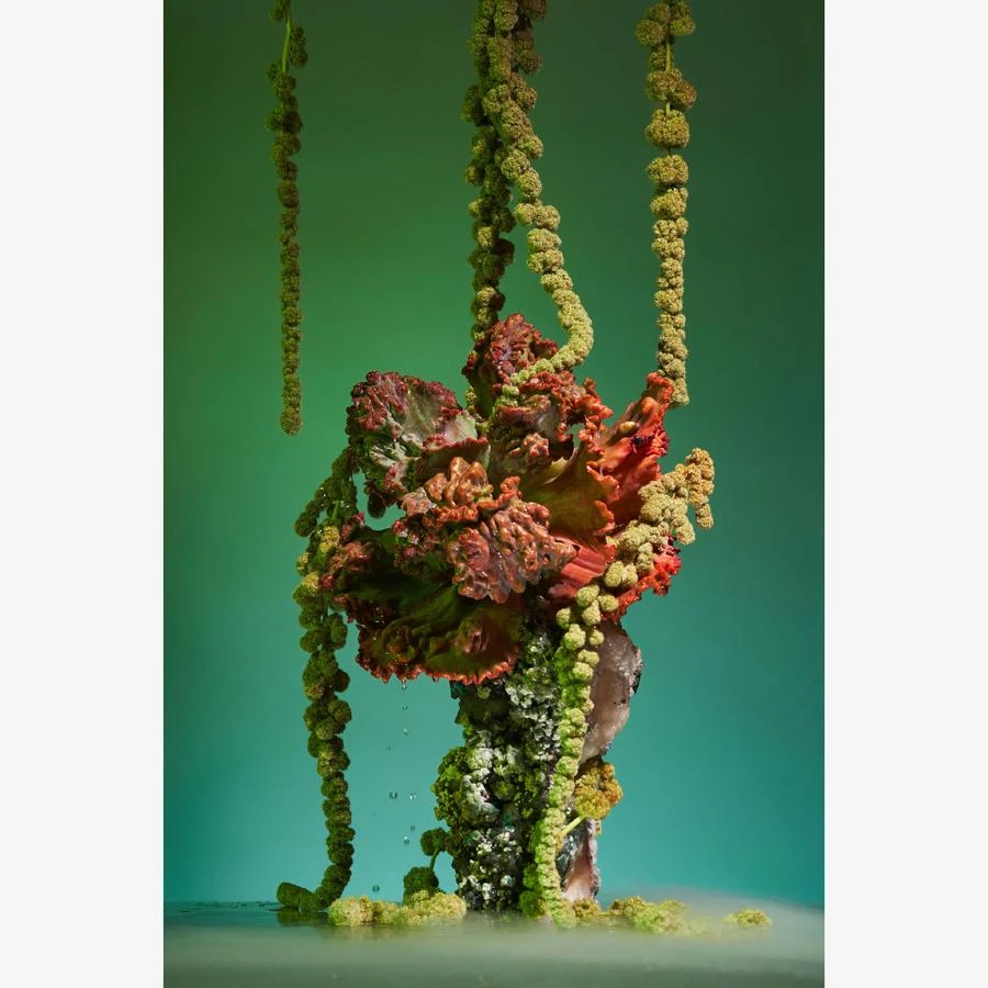 Boy Smells Agua De Jardin HOME & GIFTS 6 Boy Smells Agua De Jardin HOME & GIFTS