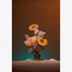 Boy Smells HOME & GIFTS Neopeche Candle