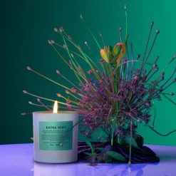 Boy Smells Pride Extra Vert Candle